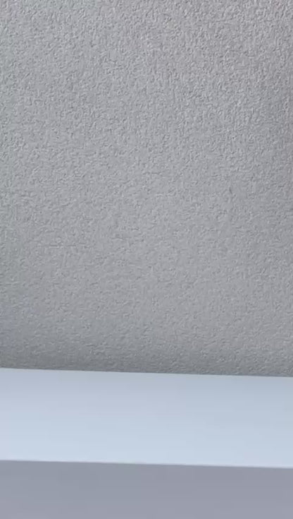 DAISY (+ de couleurs)